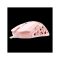 WHITE SHARK ECTOR-P WS GM-5016P  gamer egér 7D / 7.200 dpi pink RGB  PIXART PMW3327